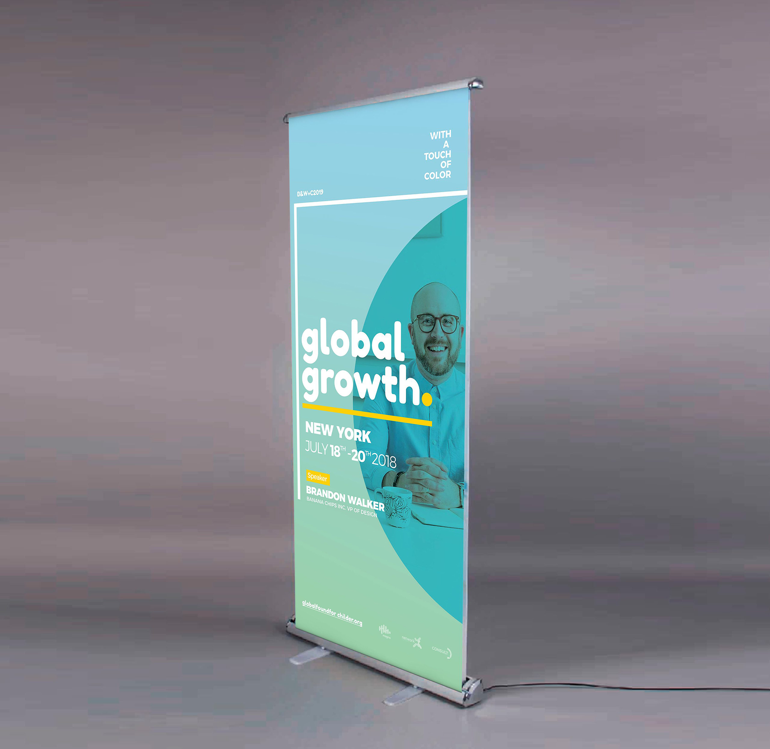 PENDON ROLLER ELECTRICO 80X200